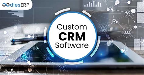 CRM Software Customization